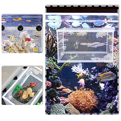 Aquarium Fry Hatchery Net Fine Mesh Fish Hatchery Isolation Net with Suction Cups Hatchery Transparent Isolation Box for Fish Tank