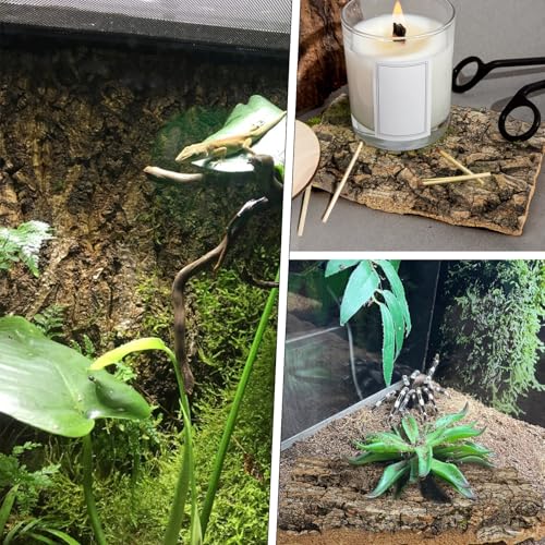 4Pcs Reptile Bark Decor Wood, Natural Cork Bark Tube Decor, Wood Bark Terrarium for Reptiles, Random Shape Random Size