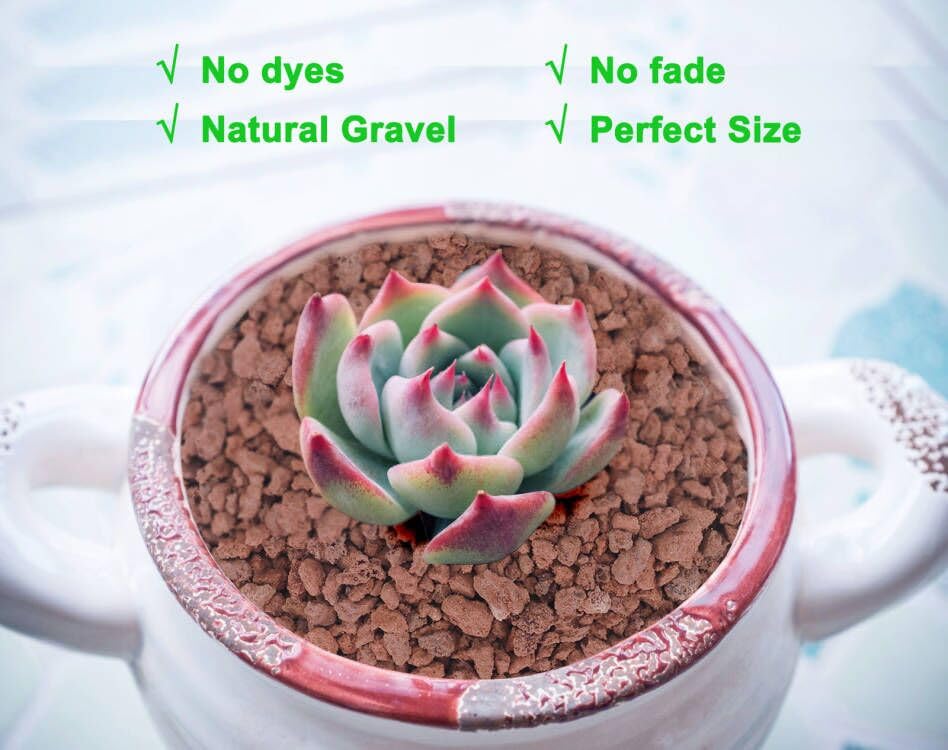 Boniosz 2lb Red Horticultural Lava Rock Soil Additive for Cacti, Vase Fillers, Succulents and Terrarium Plants - No Dyes or Chemicals - 100% Pure Volcanic Rock - color: Red Lava Rocks, size: 2lb