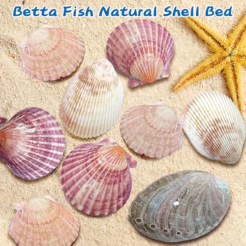 VCEPJH Betta Hammock with Suction Cups Betta Resting Spot 4 Pcs Fish Tank Accessories Decorations Shell Bed Toys for Aquarium Small Fish Natural Spawning Grounds Breeding