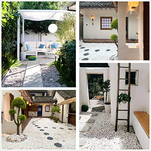 Natural Polished Decorative White Pebbles - 2 LB Small Stones 3/8" Gravel Size,River Rocks Pebbles for Plants, Home DIY Decor,Aquarium Gravel,Vase Fillers,Fairy Garden,Landscaping Outdoor Stones - color: White, size: 2 LB