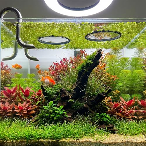 10 Pcs Aquarium Fish Feeding Ring Sets 5 Sizes Floating Plant Barrier Fishes Tank Accessories for Fish Tank Floating Plants Rectangles Circles Black