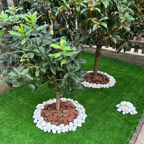 40LB White River Rocks - 2-3 inch High Polished Decorative Pebbles, Stones for Landscaping, Natural River Rocks for Outdoor Décor, Plants,Vase Filler,Fish Tank - size: 40LB, style: White