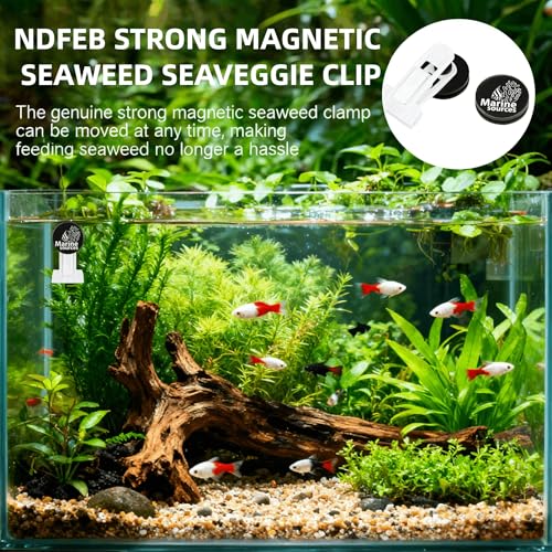 Magnetic Seaweed Feeding Clip for Saltwater Aquarium, Automatic Fish Feeder with Algae Magnet Clip, Glass Tank Accessory for Aquatic Pets, Up to 15mm Glass Thickness - color: Black-1Pcs