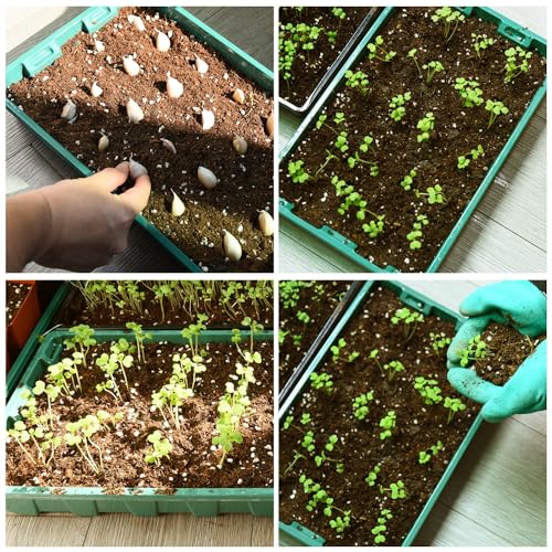 YoleShy 10 Pack Seed Starter Tray Reusable Plastic Plant Seedling Starter Trays Thickened Sturdy Durable for Germination Growing Microgreens Planting Propagation, Without Drain Holes, 14.5"x9", Green - size: 10 Pack - Green