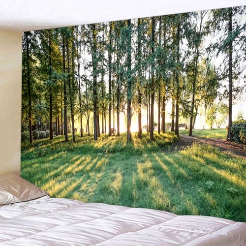 WODEJIA Sunrise Forest Tapestry, Green Trees Sunlight Landscape Wall Hanging, Nature Park Scenery Tapestries for Living Room Dorm, Large Aesthetic Wilderness Wall Art Decor Gift（79"x59"inches） - color: Sunrise Forest, size: 79"L x 59"W