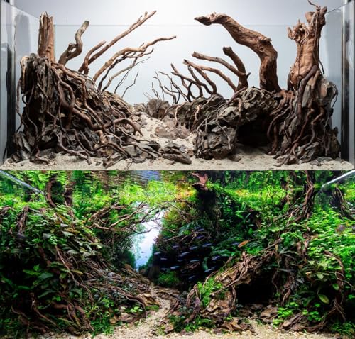 AWXZOM Aquarium Driftwood Roots for aquascaping - 160g Mix Natural Wood Roots for Aquarium aquascaping, aquascaper Essentials Driftwood Roots