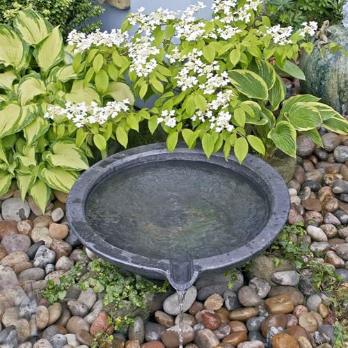 Pulovin 5lbs River Rocks for Landscaping, 2"-3" Decorative Garden Stones for Plants, Flower Pots, Vase, Walkways, Yard, Natural Rocks for Aquarium, Fish Tank - size: 2-3 Inch
