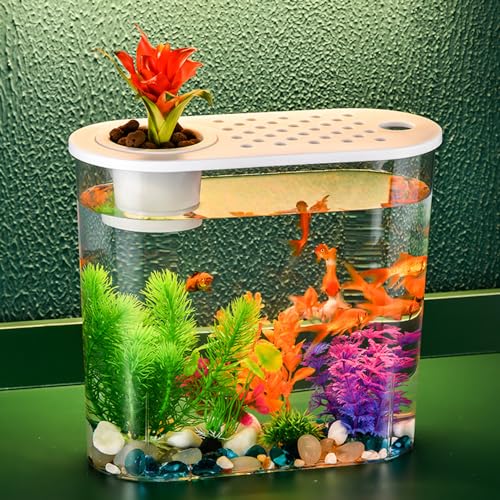 Small Fish Tank 2 Gallon, Desktop Mini Fish Tank, Starter Kits Betta Fish Tank with Decor Stones and Water Grass Decorations for Home or Office