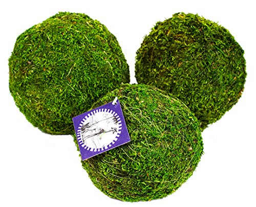 SuperMoss (25542 Moss Balls, Fresh Green, 6" (3 Pack) - color: Fresh Green, size: 6" (3 pack)