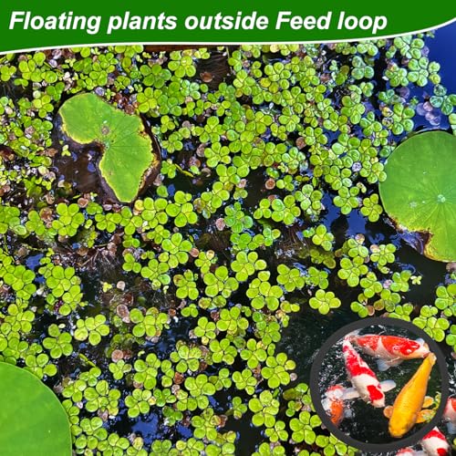 PEUTIER 5pcs Aquarium Floating Plant Rings, Foam Floating Plant Corral Fish Feeding Rings Fish Tank Food Ring for Keeping Floating Plants in Place (Black)