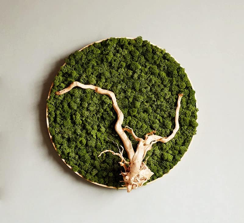 Preserved Reindeer Moss Natural Green DIY Kit Gardenning Art Wall Decor Florist Decor Easter Table Decor Wedding - color: Green-06, size: 0.85 lb