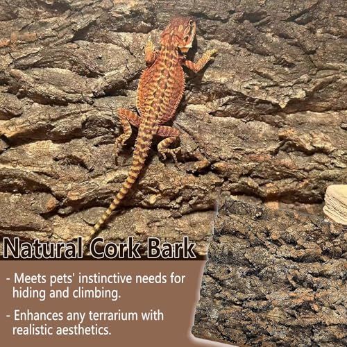 Tfwadmx 2PCS Thickened Cork Terrarium Bark Background, 11.8"x7.8" Natural Cork Bark for Reptiles Bearded Dragon Climbing Mat Reptile Climbing Wall Terrarium Background Decor for Lizard Gecko Snake - size: 2Pcs 7.87*11.81inch