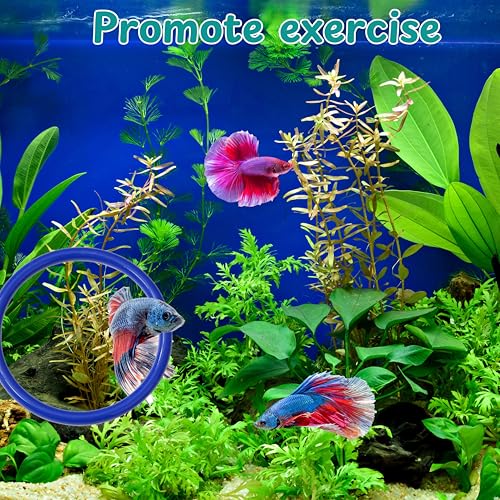 Betta Fish Enrichment Toys Ring and Mirror , Floating Exercise Mirrors And Training Ring, Floating Mirrors Aquarium With Feeding Rings, Fish Toys, Betta Fish Tank Accessories (Blue+Mirror, 6.4cm) - color: Blue+Mirror
