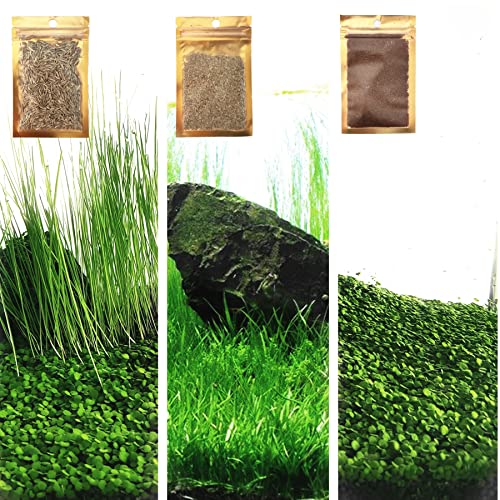 3 Aquarium Plants Set, (0.36ozTiny+0.36oz Long+0.36oz Short) Fresh Water Replacement for artificial, not Plastic, 3 types (0.36ozTiny+0.36oz Long+0.36oz Short) 28ABC, Green