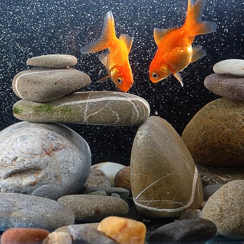 Pulovin 5lbs River Rocks for Landscaping, 2"-3" Decorative Garden Stones for Plants, Flower Pots, Vase, Walkways, Yard, Natural Rocks for Aquarium, Fish Tank - size: 2-3 Inch