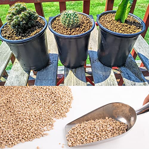 3lb Maifanitum Stones for Succulent Cactus Bonsai Decorative Rocks-Indoor Plants Soil Covers,Horticultural Gravel, Potting Pebbles for Terrarium, Fairy Gardening, Top Dressing - color: Maifanitum Stones, size: 3lb