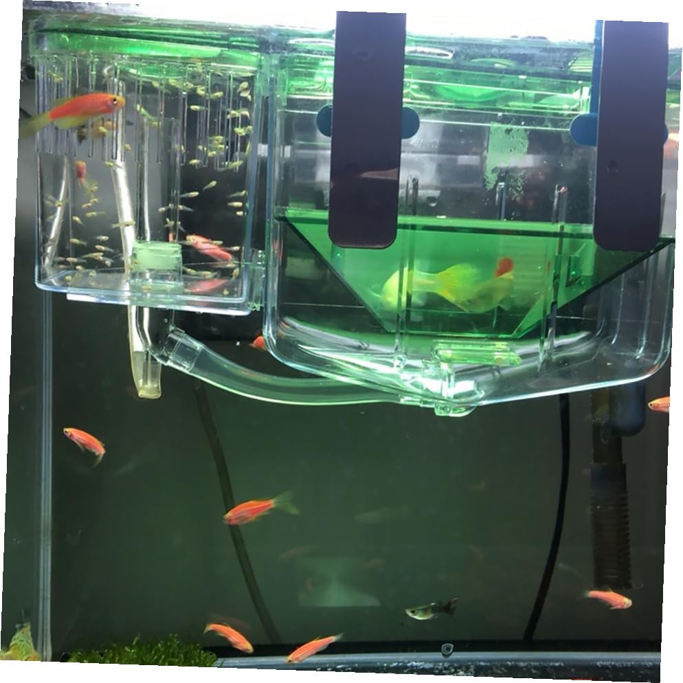Toddmomy Fish Breeding Tank Isolation Box Transparent Acrylic Aquarium for Protecting Small and Fish with Floating Design for Enhanced Survival