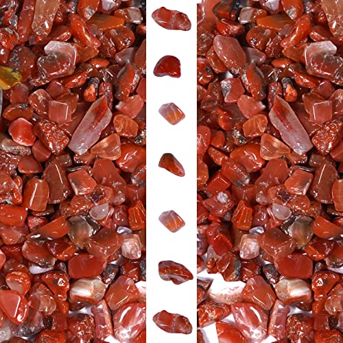 gemshan 2lb Carnelian Chips Natural Crushed Crystal Chip Bulk 7mm-9mm Tumble Healing Crystal Stone for Aquarium Vase Plant Decoration Jewelry DIY - color: Carnelian
