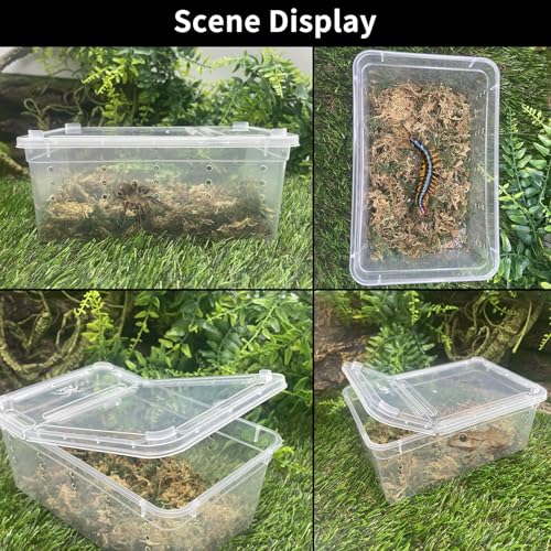 PINVNBY Reptile Feeding Box 8 PCS Snake Breeding Box Reptile Transport Container 7.48"x4.92"x2.95" Portable Habitat Plastic Cricket Cage for Lizard Spider Scorpion Gecko Tortoise Treefrog