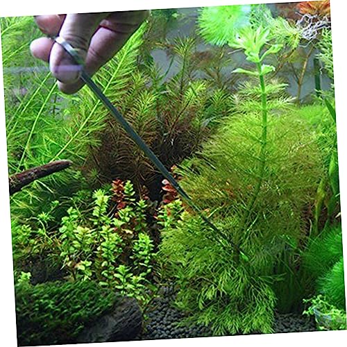BESPORTBLE 4pcs Stainless Steel Aquarium Plant Tool Set Tweezers and Scissors Kit for Aquatic Plants Ergonomic Design for Planting and Maintenance