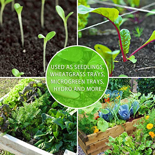 YoleShy 10 Pack Seed Starter Tray Reusable Plastic Plant Seedling Starter Trays Thickened Sturdy Durable for Germination Growing Microgreens Planting Propagation, Without Drain Holes, 14.5"x9" - size: 10 Pack - Black