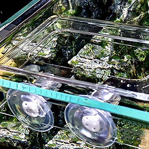 Futterring Aquarium, KIMISS Acrylic Simple Installation Fish Food Feeder Feeding Ring for Fish Aquarium with Suction Cup Acrylic Simple Installation (27x19.5x19cm / 10.6x7.7x7.5in) - size: 27x19.5x19cm / 10.6x7.7x7.5in
