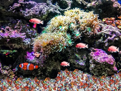 ZHIYUXI Yellow Jade 1lb Crystal Chips Bulk Fish Tank Decorations Aquarium Rocks Gravel Vase Filler Stones Crystals for Candle Making Witch Kit Gravel for Plants Quartz Sand Gemstone Terrarium Supplies - color: R# Yellow Jade, size: 1lb