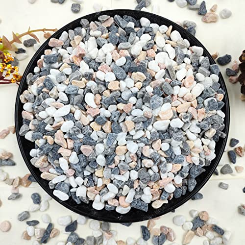YISZM 5LBS Succulent and Cactus Gravel Pebbles, 1/5 Inch Natural Decorative Polished Stones, River Rocks for Vases, Aquariums, Terrarium and Outdoor Gardening, Mixed Color - color: Mixed, size: 5 Pounds