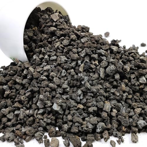 YISZM Black Horticultural Lava Rocks for Plants, 10lb Succulents Cactus Bonsai Soil Lava Rocks for Aquarium Outdoor Decorative Stones for Craft Projects, Vase Fillers - color: Black Lava Rock, size: 10 Pounds
