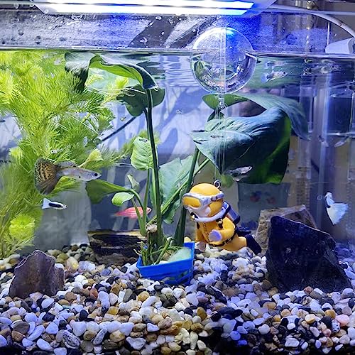 YISZM 10LB Succulent and Cactus Gravel Pebbles, 3/8 Inch Decorative Polished Stones, River Rocks for Plants, Vases, Aquariums, Terrarium and Outdoor Gardening, Natural - color: Natural, size: 10 Pounds