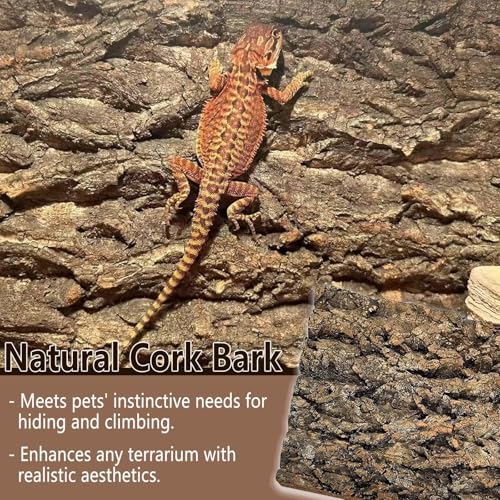 Tfwadmx Thickened Cork Terrarium Bark Background, 11.8"x15.7" Natural Cork Bark for Reptiles Bearded Dragon Climbing Mat Reptile Climbing Wall Terrarium Background Decor for Lizard Gecko Snake - size: 1Pcs 11.81*15.75inch
