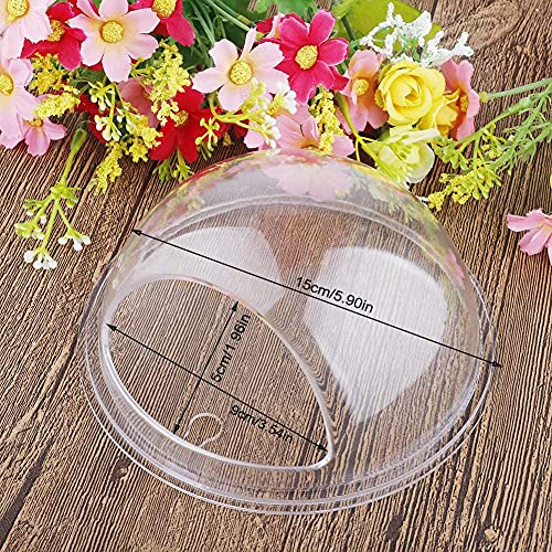 GREENWISH 2Pack 5.9'' Wall Mounted Clear Acrylic Round Fish Tank Flower Pot Vase Decoration Wall Hanging Mount Fish Bowl Fish Bubble Aquarium Decorative Plant Pot Hanging Hydroponic Pot