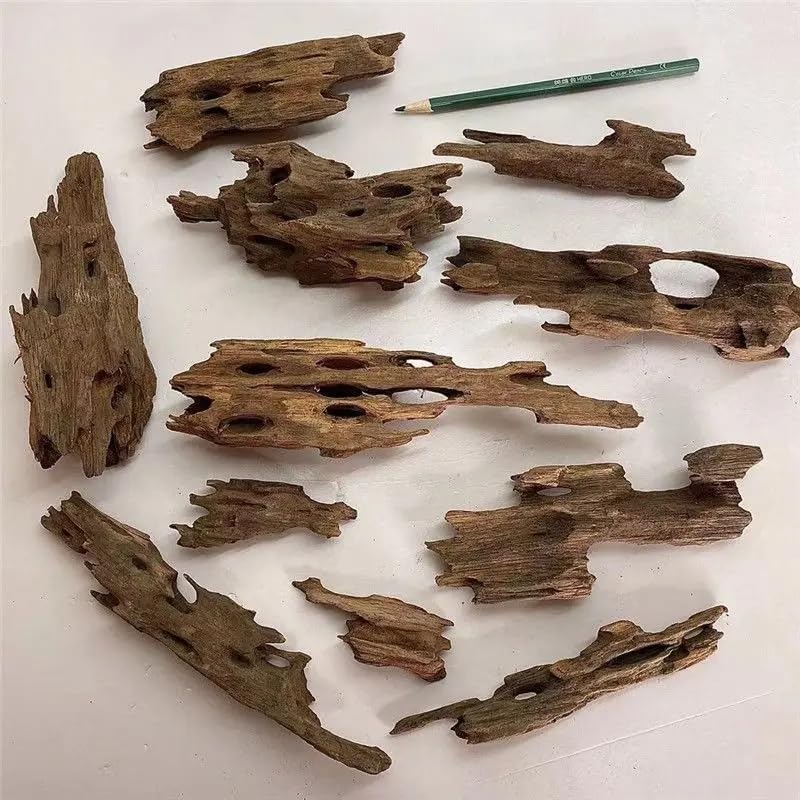 Fish Tank Natural Porous Wood Driftwood Ornament for Aquarium Decoration Hermit Crabs Shrimp Fish Aquarium Accessories… (20-25cm) - color: 20-25cm