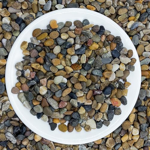 SIDONG 10LB Natural Aquarium Gravel, Small River Rocks for Fish Tank, Garden & Vase Decor - 1/4 Inch Pea Gravel, 4-8mm Polished Stones for Landscaping, Potted Plants, Terrarium - color: 10lb, size: 4-8mm