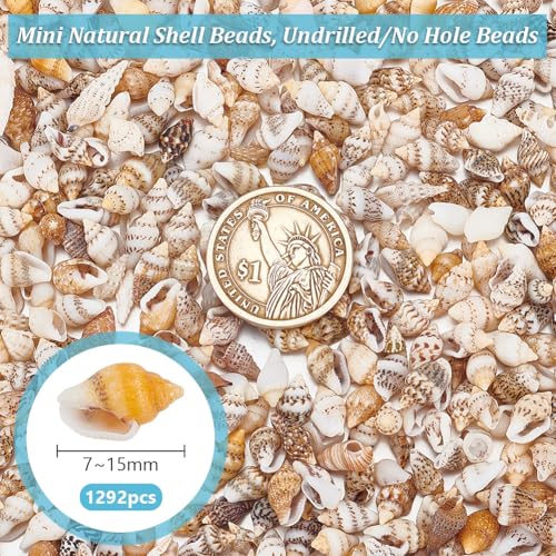 PH PandaHall 1290pcs Tiny Sea Shells No Hole Seashells Natural Conch Seashell Bulk for Resin Crafts Candle Making Vase Fillers Fish Tank Mirror Decoration Oceaan Beach Theme Party 7~15mm