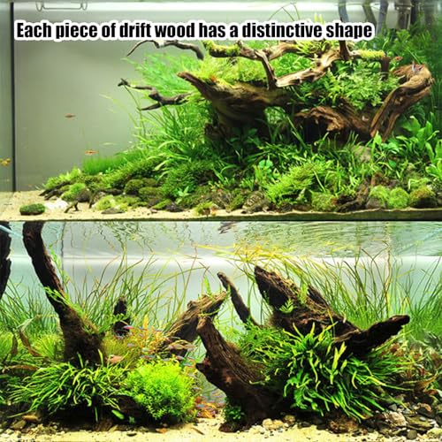 Aquarium Driftwood Natural Aquarium Decoration Tree Trunk with Rockery View Driftwood Landscaping Decoration Dead Wood Root Decor Hideouts (Random Shape) 5-10cm