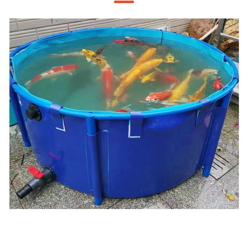 WANLIAN Pool Above Ground Canvas Fish Pond Circular Thickening Pool Large Collapsible Outdoors Tarpaulin for Koi Culture Agricultural Irrigation Water Storage Tank,Easy to Install(Belt Frame)(3 * 1) - style: 3*1