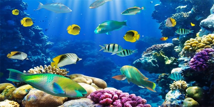 YongFoto Ocean Theme Fish Tank Background 24x16 inch Coral Seaweed Reef Rock Seafloor Tropical Fish Underwater Sea World Polyester Backdrop Reptile Habitat Terrarium Aquarium Background - color: Underwater 3, size: 24x16inches