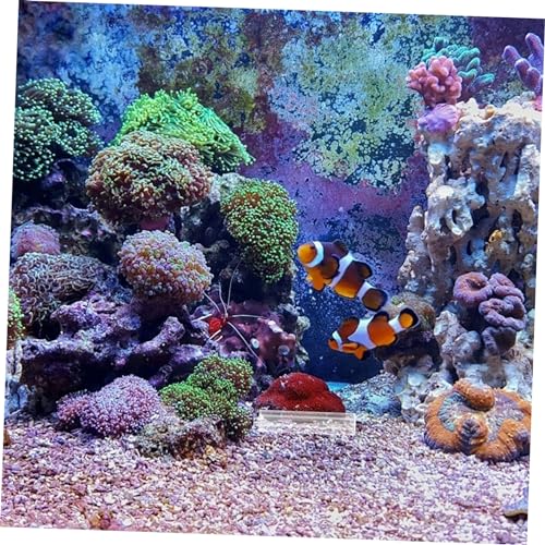 5pcs Transparent Fish Breeding Tube Shelter for Aquarium Fish Tank Decor Hiding Breeding Space for Shrimp Turtles