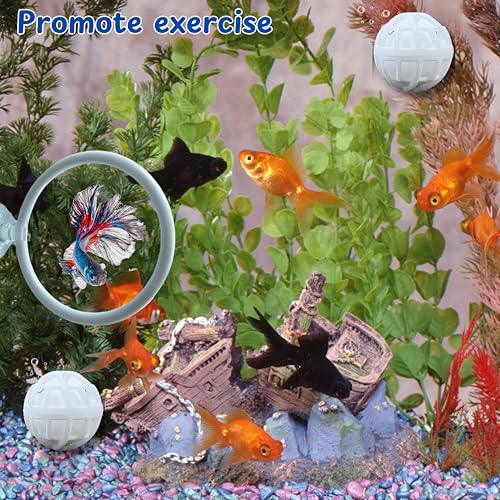 Betta Fish Exercise Ring and Filter Balls Set, Betta Ring Training Loop with Suction Cup and Nitrifying Ball, Betta Enrichment Toys, Aquarium Toys for Fish Turtle Tank Small Fish Tank (White, M-73mm) - color: White, size: M-73mm