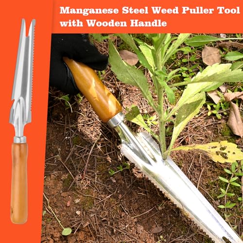 BokingOne 5-in-1 Stainless Steel Hand Weeder Puller Tool & Dandelion Fork Knife - Hand Weed Removal Tool for Weeding, Planting, Transplanting, Soil Cultivating & Flower Care（13.8-inches - color: 5-in-1 Stainless Weeder Tool