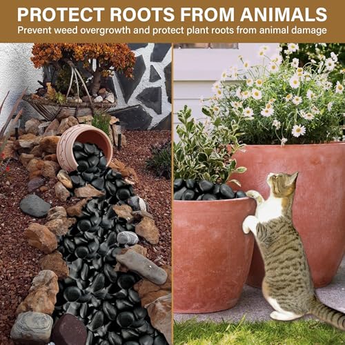 6lb Black River Rocks for Plants Indoor, 2-3Inch Pebbles for Vases Fillers, Decorative Gravel for Fish Tank, Natural Polished Stones for Succulent, Bonsai, Landscaping, Bird Baths - color: Black, size: 2-3"-6lb