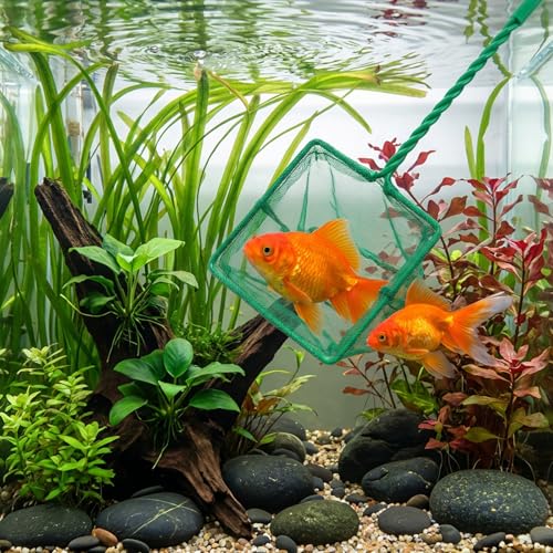 2 PCS 4 Inch Fish Net Aquarium, Green Square Fish Tank Net Fine Mesh Quick Catch Fish Nets Aquarium Fishes Nets with 9.8 Inch Braided Metal Handle for Fishes Tanks Small Ponds and Pools