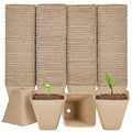 YESIACE 126 Packs Square Peat Pots, 3.15 Inch Seed Starting Pots with Drainage Holes Square Nursery Pot,Biodegradable Eco-Friendly Round Plant Seed Starter Peat Germination Seedling Trays - size: 3.15 inch Square