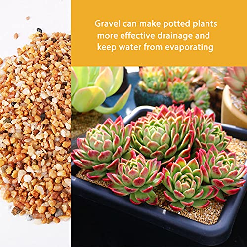 3lb Cactus Pea Gravel Rocks,1/5 Inch Pebbles for Indoor Plants, Natural Succulent Rock and River Rocks Decorative for Aquariums, Vases, Terrarium, Outdoor Gardening, Top Dressing for Potted Plants - color: Mixed Colorful, size: 3LB