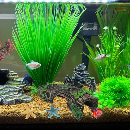 Starfish and Resin Hollow Tree Trunk Fish Tank Decorations, Betta Fish Tank Accessories, Aquarium Arnaments Hollow Tree x 1pc, Fish Aquarium Decorations Starfish x 2pcs(Blue and Yellow)