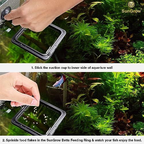 SunGrow Fish Food Feeding Ring, Stop Water Turbulence from Washing Food & Floating Plants into Filtration System, Suitable for Flakes & Floating Fish Pellets (3 Pieces) - size: 3 Pieces