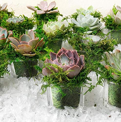 Artificial Moss Fake Green Grass for Centerpieces Home Kitchen Garden Decor (8OZ, Fresh) - color: 8oz, Fresh