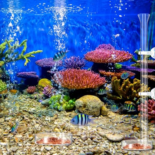CHENGU 3 Pieces Shrimp Feeding Tube and Dish Set, 12 Inch Glass Shrimp Feeder Tube and 2 Aquarium Dish Bowl Fish Tank Feeding Supplies for Fish Tank Aquarium - size: 12" + 2 Tray